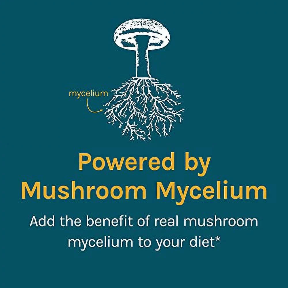 and Defense, 100 Host for Stress Fatigue Mushroom Supplement, Reduction, G CordyChi Powder,