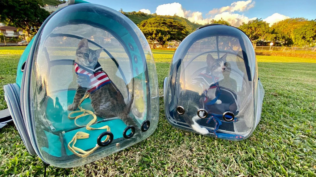 up Back Expandable Extension Carrier Capsule Space 12 Backpack, Small Pounds Cat Dog for to Bubble Pet and Transparent Kitten
