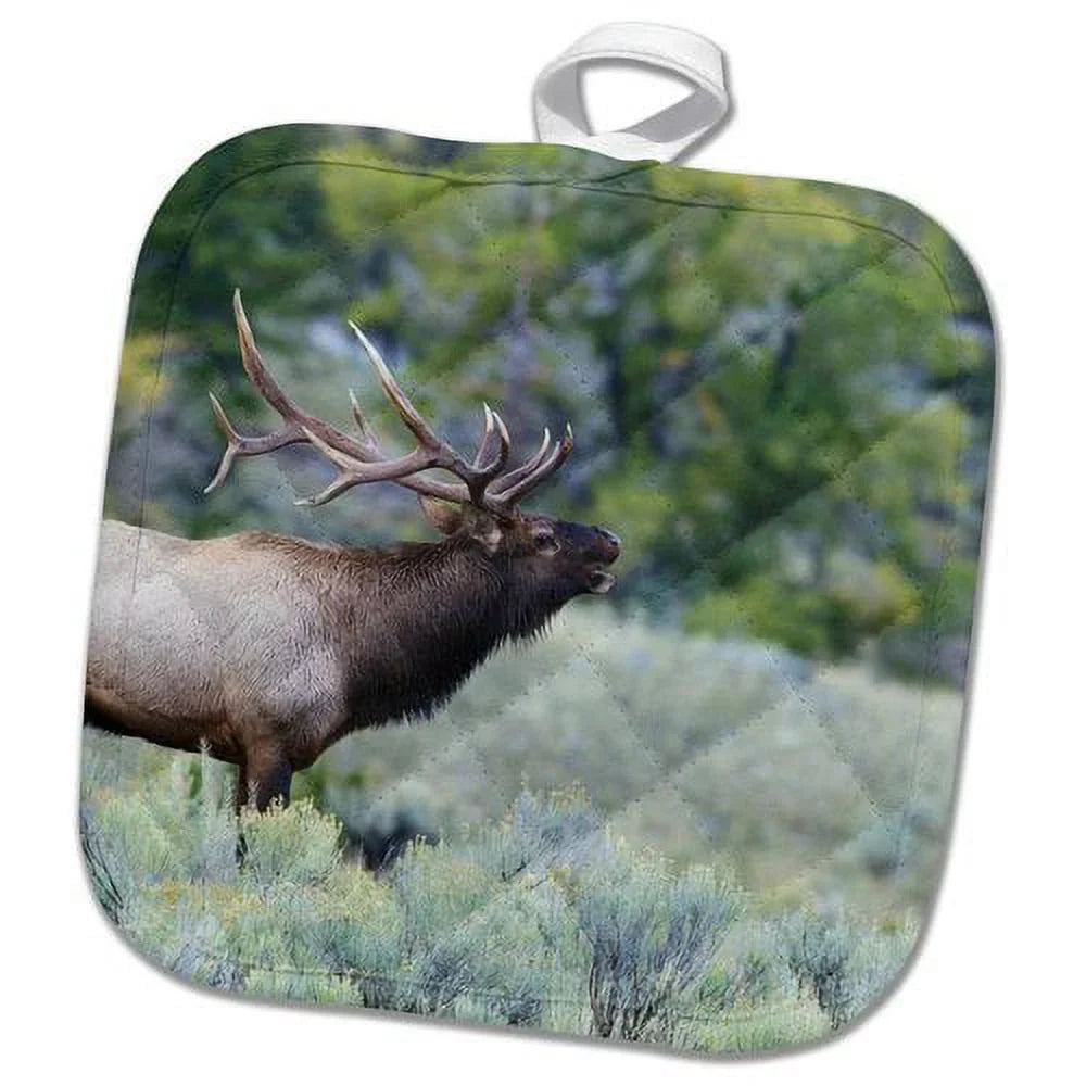 Bugling Bull Pot Elk Mountain Holder Rocky 3dRose