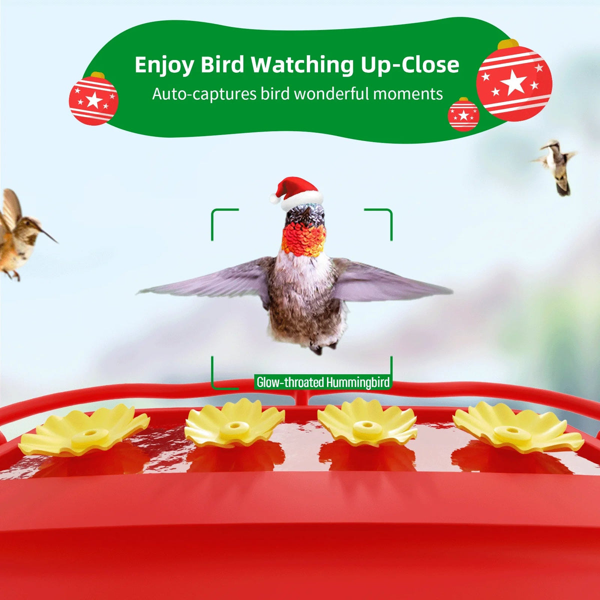 House, Feeder 350+ Feeder Hummingbird Identify Outdoor Gift Smart Attract Bird Up-Close,AI Hummingbird Camera Hummingbird Unique More Camera 2 Capture,Birdwatching Wooden for Species, Auto-Video with