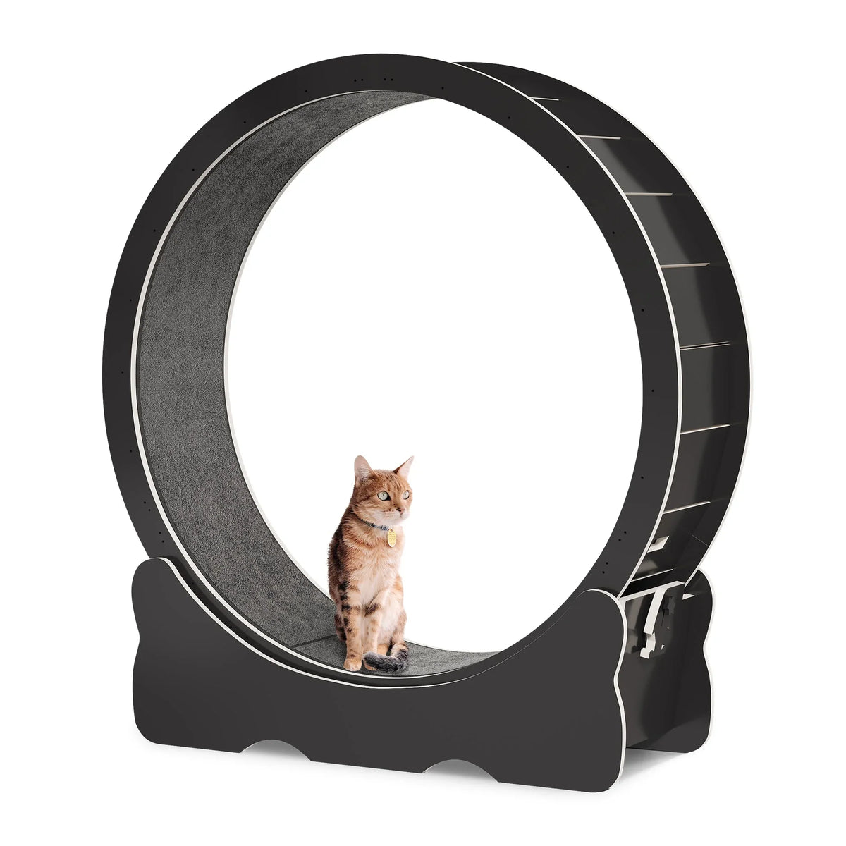 Noise inch Running Exercise Fitness Cat Cat Dextrus for Wheel 43.3 with Cat's Wheel Exerciser Cats, Ultra Low and Detachable Carpet Indoor and Treadmill for Large Health