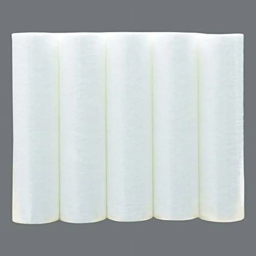 Watts 5 Replacement Filters Piece Set Premier House Whole