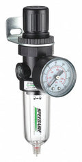 cfm,5 Micron Filt-Reg,1/4"NPT,14 Speedaire