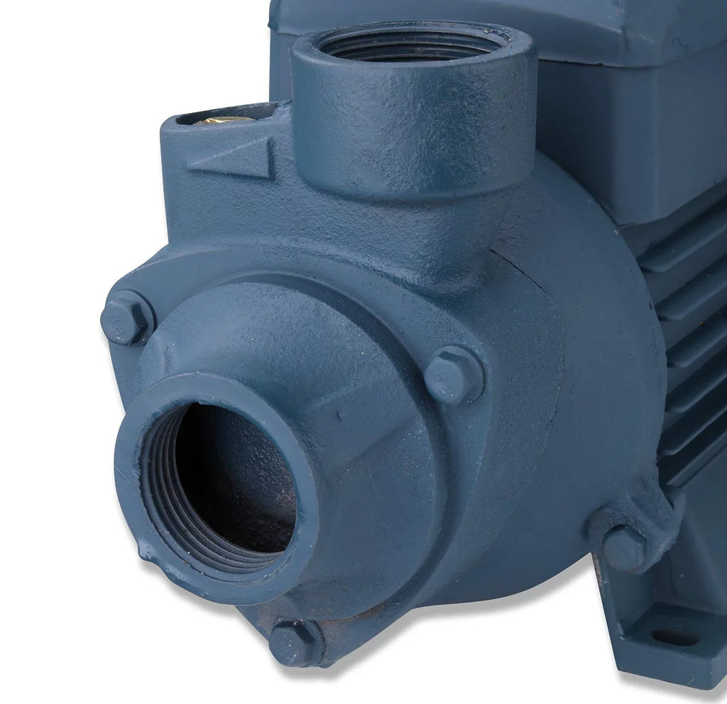 Neiko Water HP Clear Electric Pump, 1 Centrifugal 50639