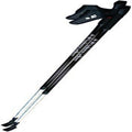 nordic balance poles walking