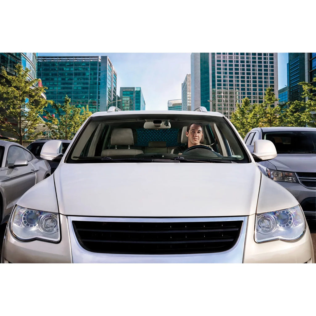 Garmin Cam™ Dash Mini