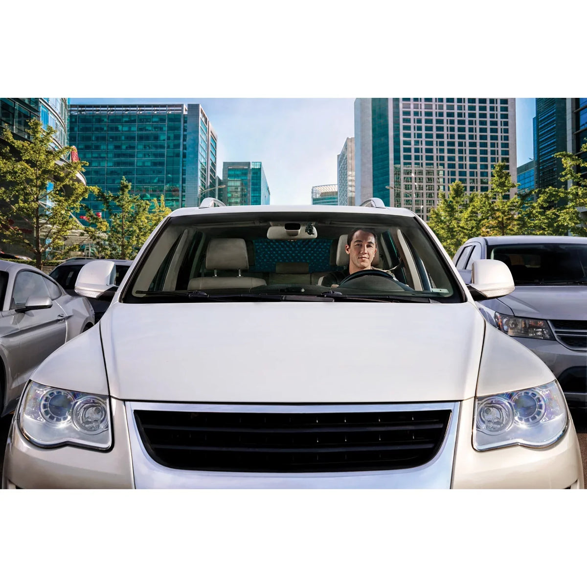 Garmin Cam™ Dash Mini