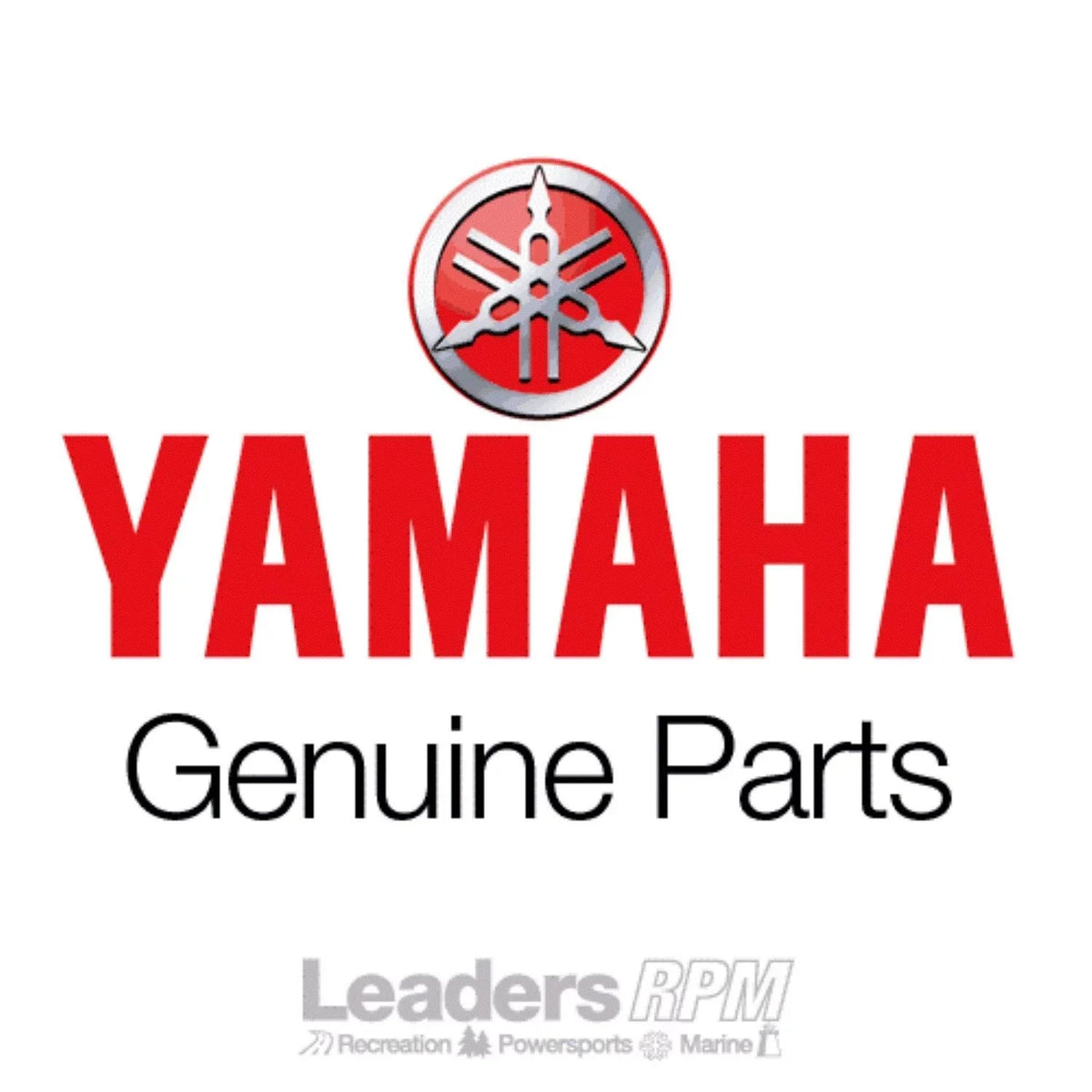 Fuel Yamaha Gas Filter PACK WaveRunner TWO 8H5-24560-00-00 PWC OEM