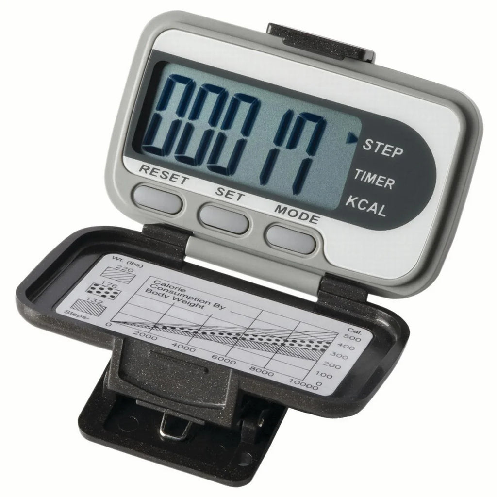 pedometer activity (steps, calories, deluxe distance, Ekho time) and