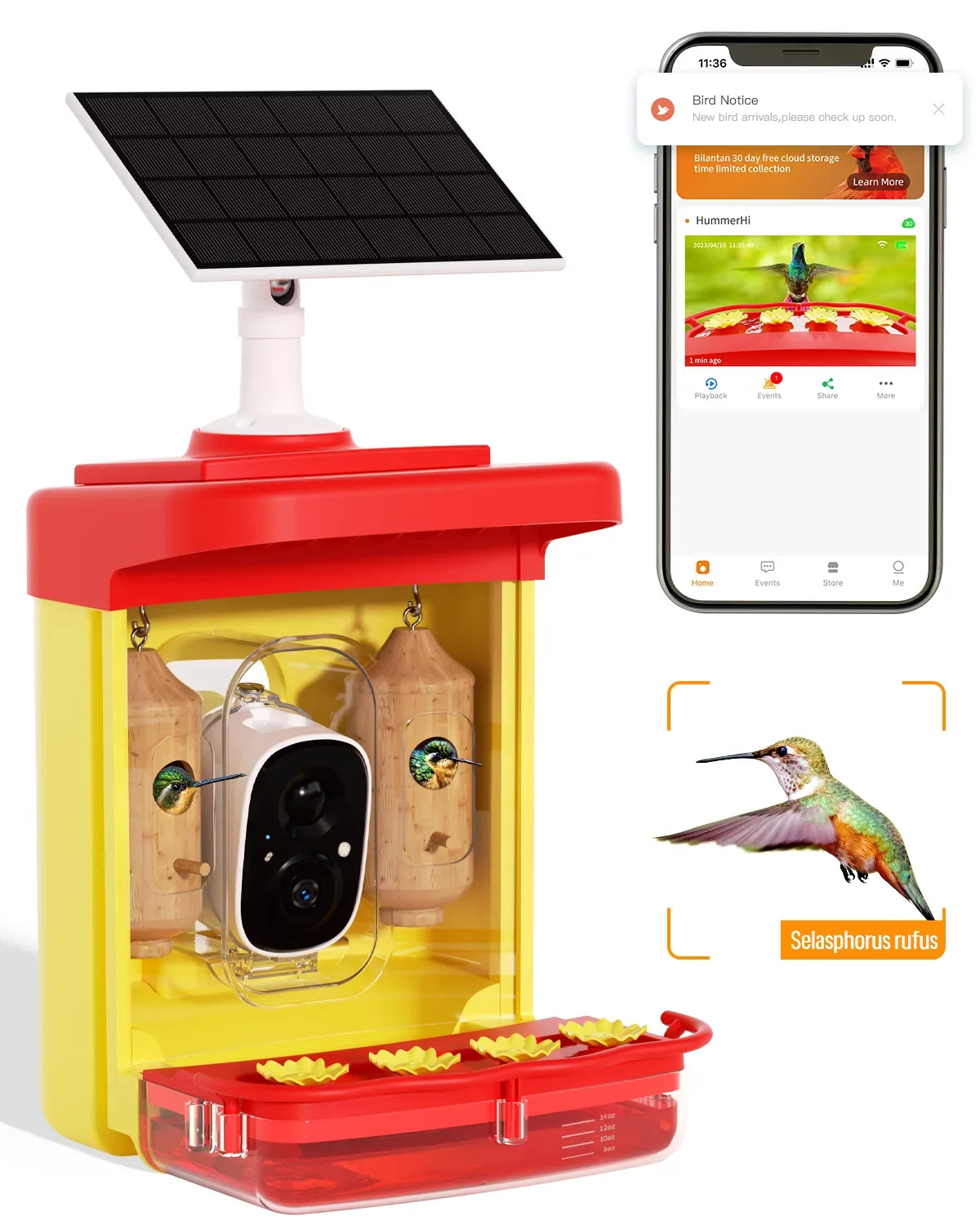 House, Feeder 350+ Feeder Hummingbird Identify Outdoor Gift Smart Attract Bird Up-Close,AI Hummingbird Camera Hummingbird Unique More Camera 2 Capture,Birdwatching Wooden for Species, Auto-Video with