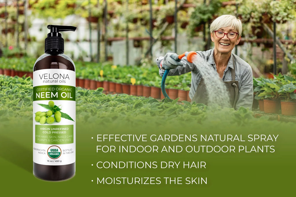 Certified Oil Velona Pressed oz Use Virgin, Care Unrefined, Cold Results - | | Hair, - Carrier Neem Today and Skin | Organic | 100% Natural Enjoy Oil Pure 32 USDA Body and
