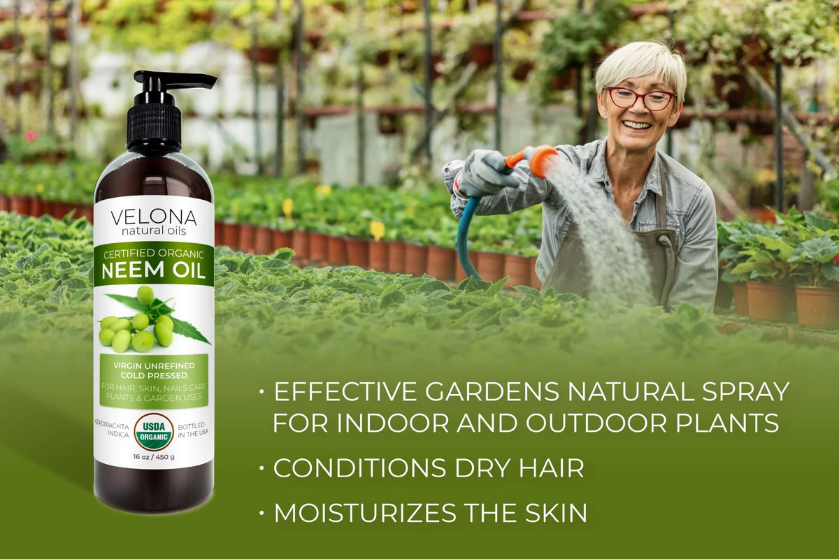 Certified Oil Velona Pressed oz Use Virgin, Care Unrefined, Cold Results - | | Hair, - Carrier Neem Today and Skin | Organic | 100% Natural Enjoy Oil Pure 32 USDA Body and