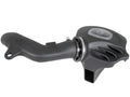 w/ Filter System Momentum S Cold DRY Air Pro Intake