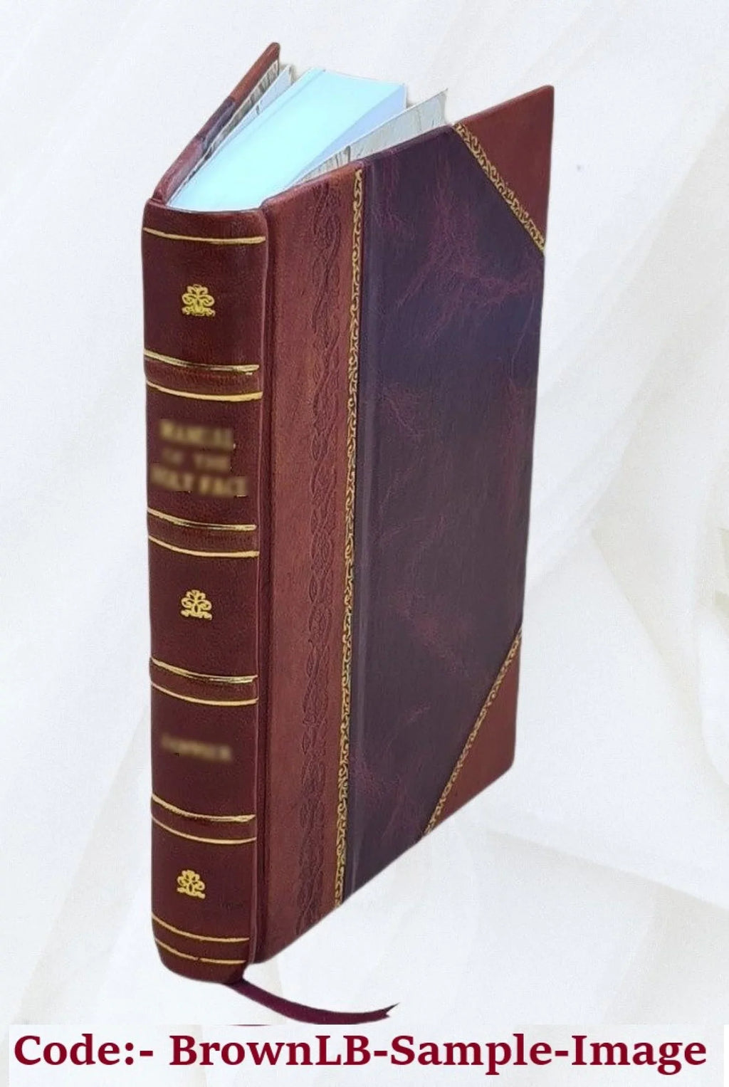 1573 Minvs Qvam Non Confectione Inuentarij De Bound] [Leather Vtilissimvs Tractatvs Necesarivs