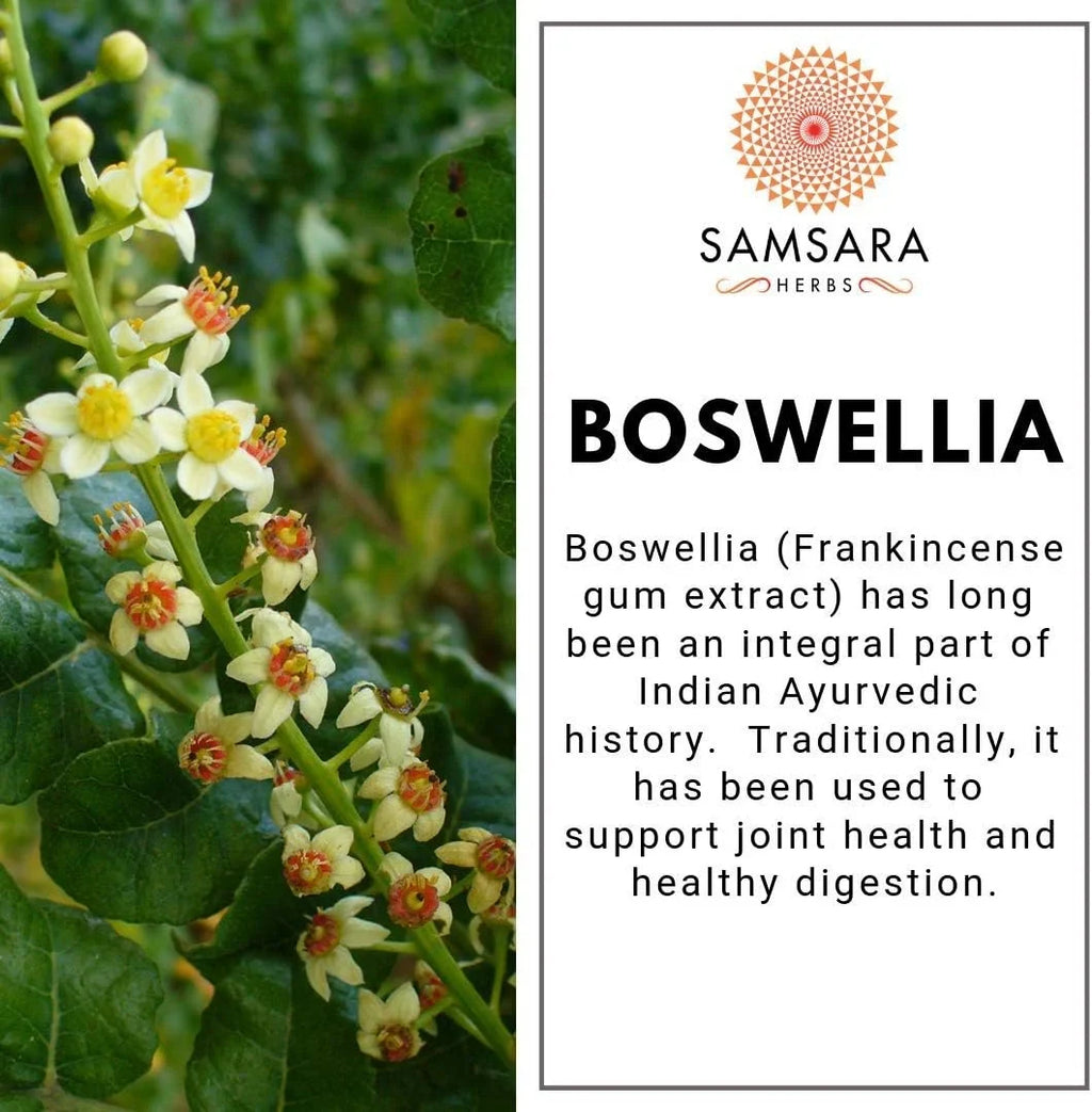 (2oz/57g) Support | Respiratory Boswellic Extract Boswellia Digestion - | Acid Herbs Samsara 90%
