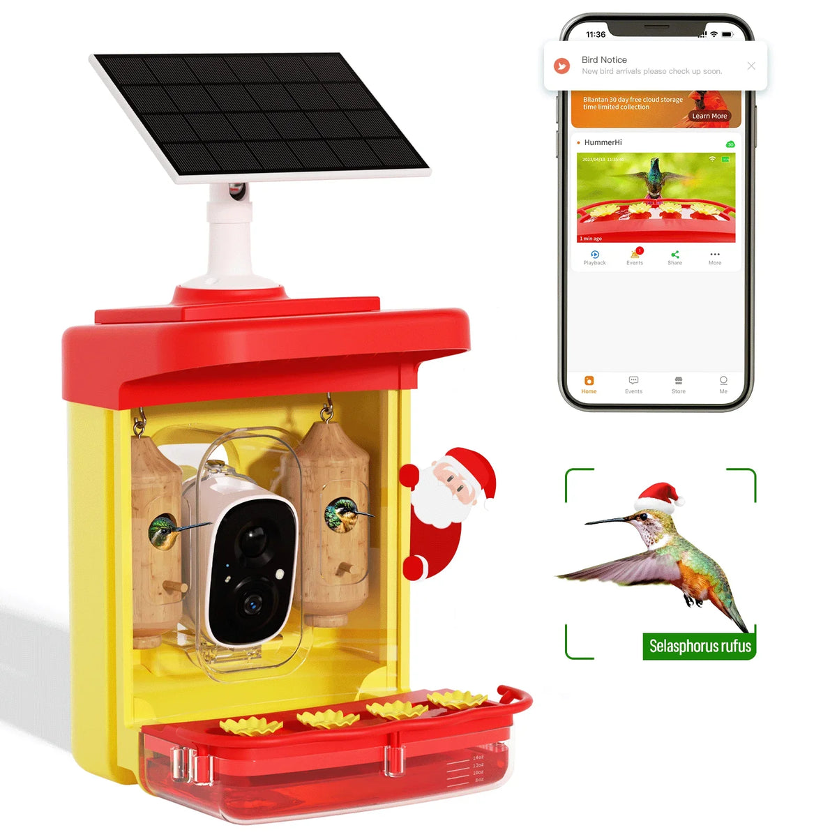 House, Feeder 350+ Feeder Hummingbird Identify Outdoor Gift Smart Attract Bird Up-Close,AI Hummingbird Camera Hummingbird Unique More Camera 2 Capture,Birdwatching Wooden for Species, Auto-Video with