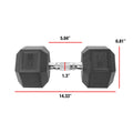 Coated Dumbbell, Pair 50lb