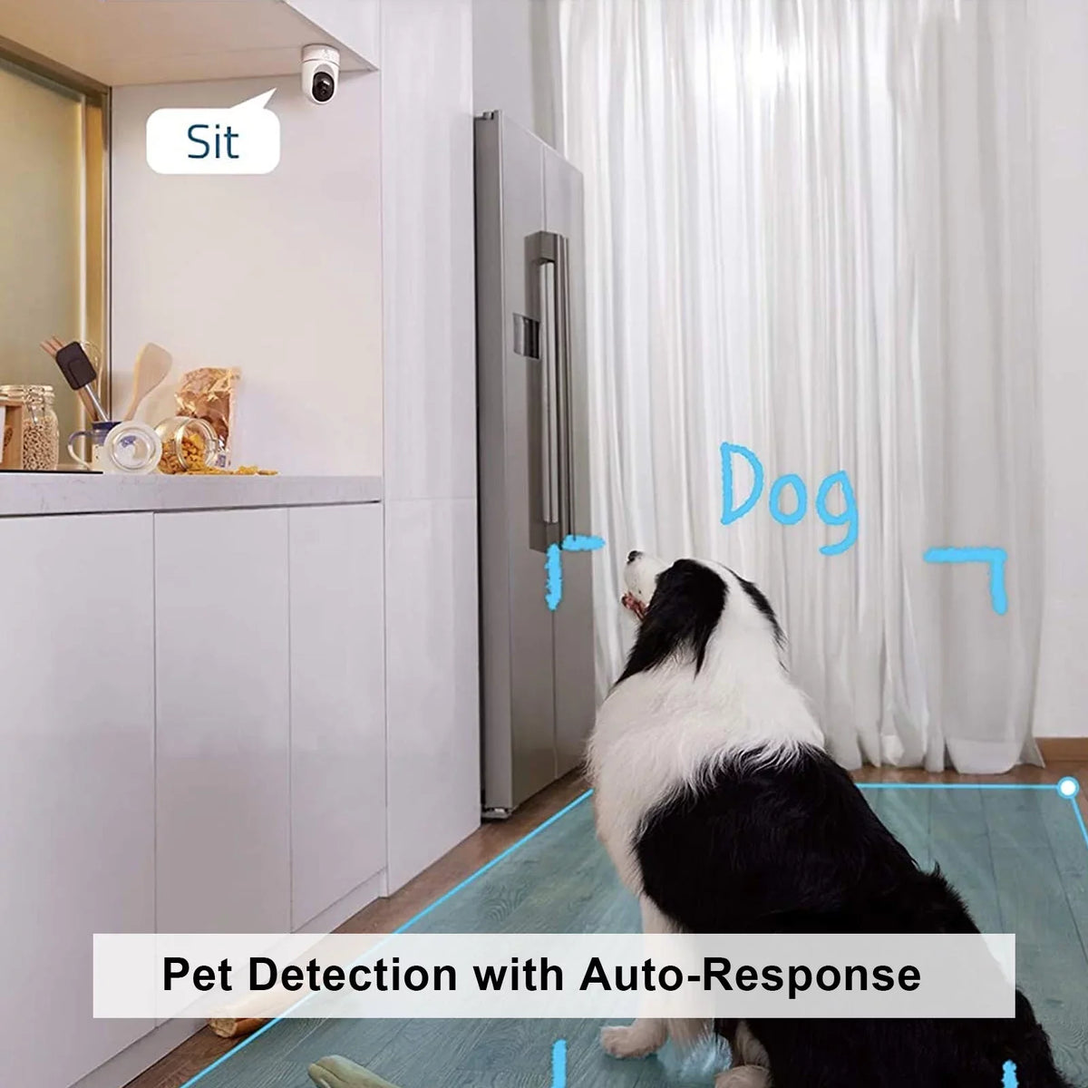 Security Night Nozaya Zones For - Vision, Camera - Activity Wireless Home Indoor,