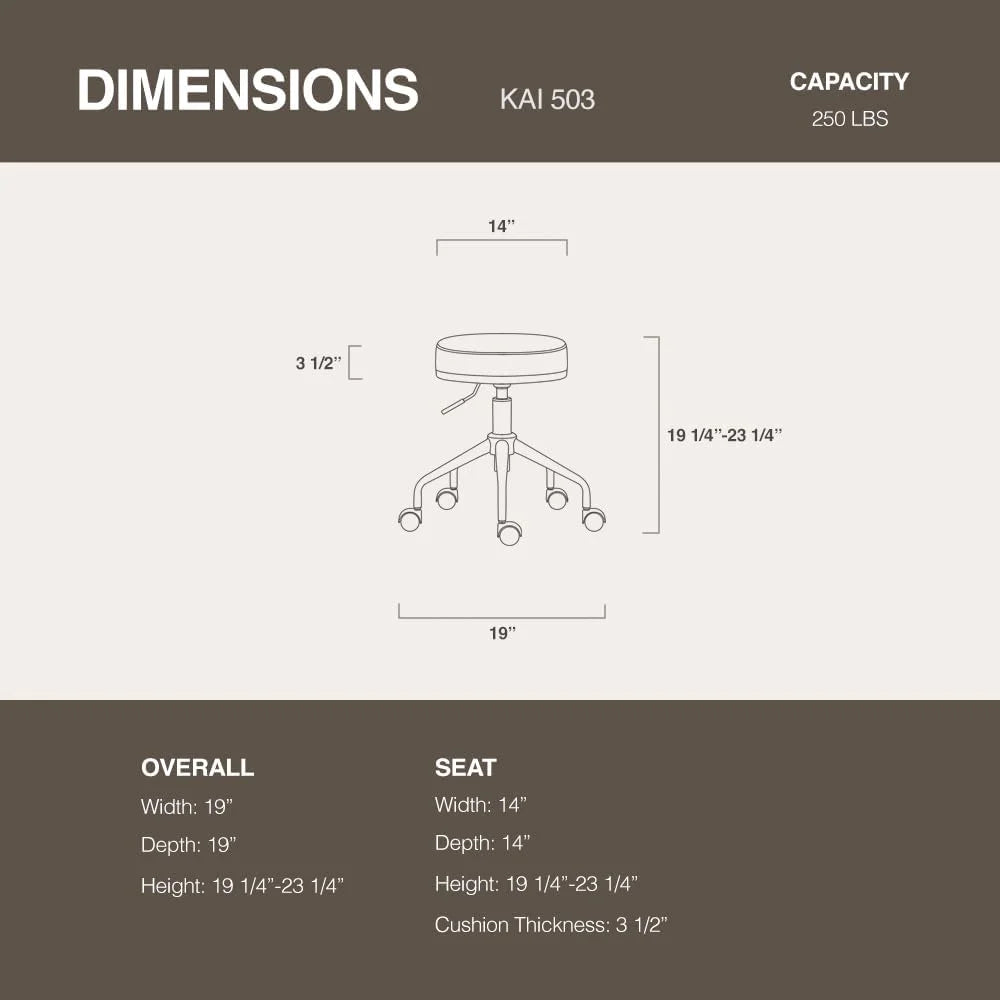 Dentists Hydraulic Office (Standard, 503 Swivel ) Clinic Stool Nursing Home Height Adjustable Spas Salons For Beauty Rolling