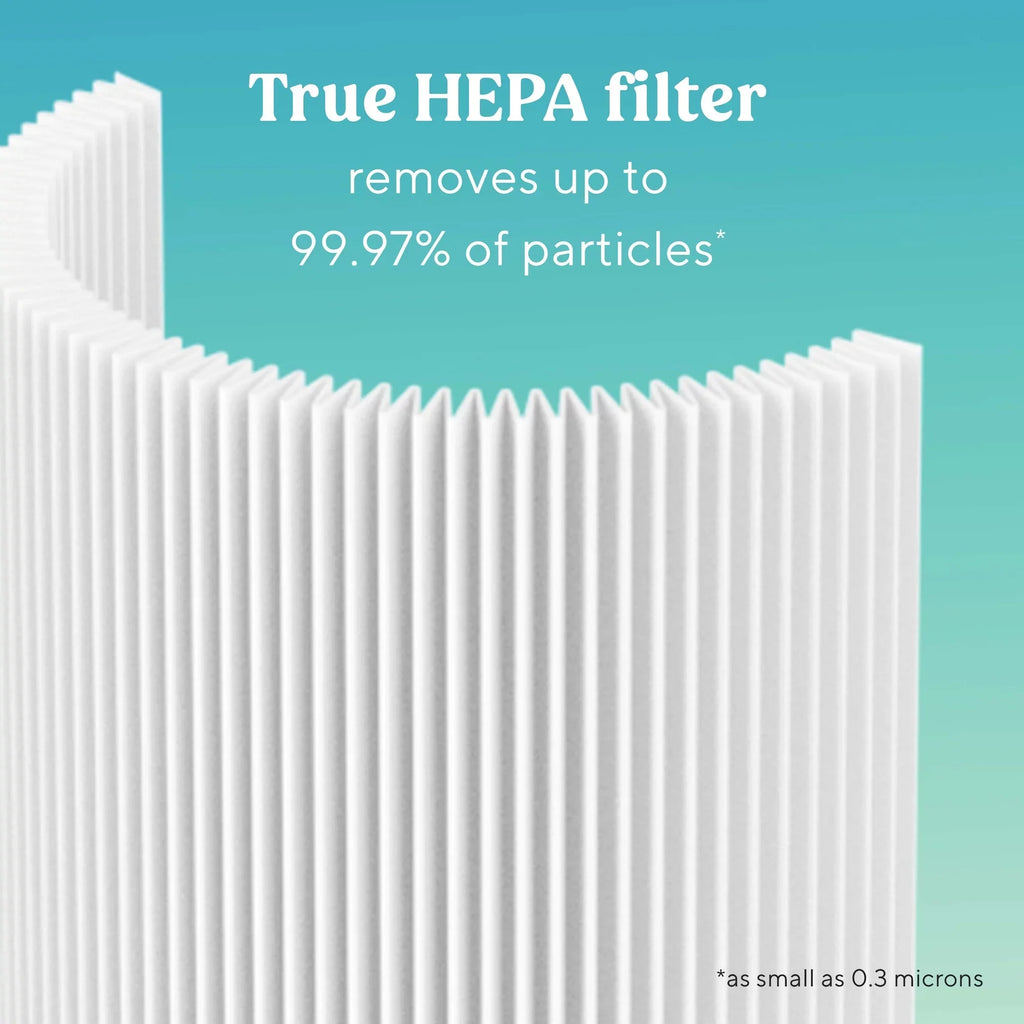 Dust of Desktop for Allergens 99.7% Bionaire 360 Filter and Carbon Removes Filter, and Mini,
