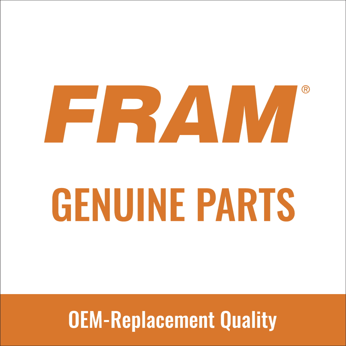 2011-2018 2500 compatible Filter with Air Ram