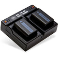 A7s III, for II, a7R DSC-RX10 BM 2 II a6000 Sony a6300 a6400 A7 a6500 II IV Cameras a7 and A6100 a5000 NP-FW50 7 Dual Charger Alpha a3000 Batteries