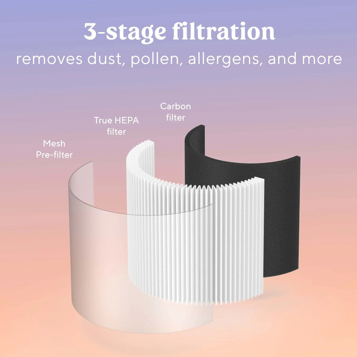 Dust of Desktop for Allergens 99.7% Bionaire 360 Filter and Carbon Removes Filter, and Mini,