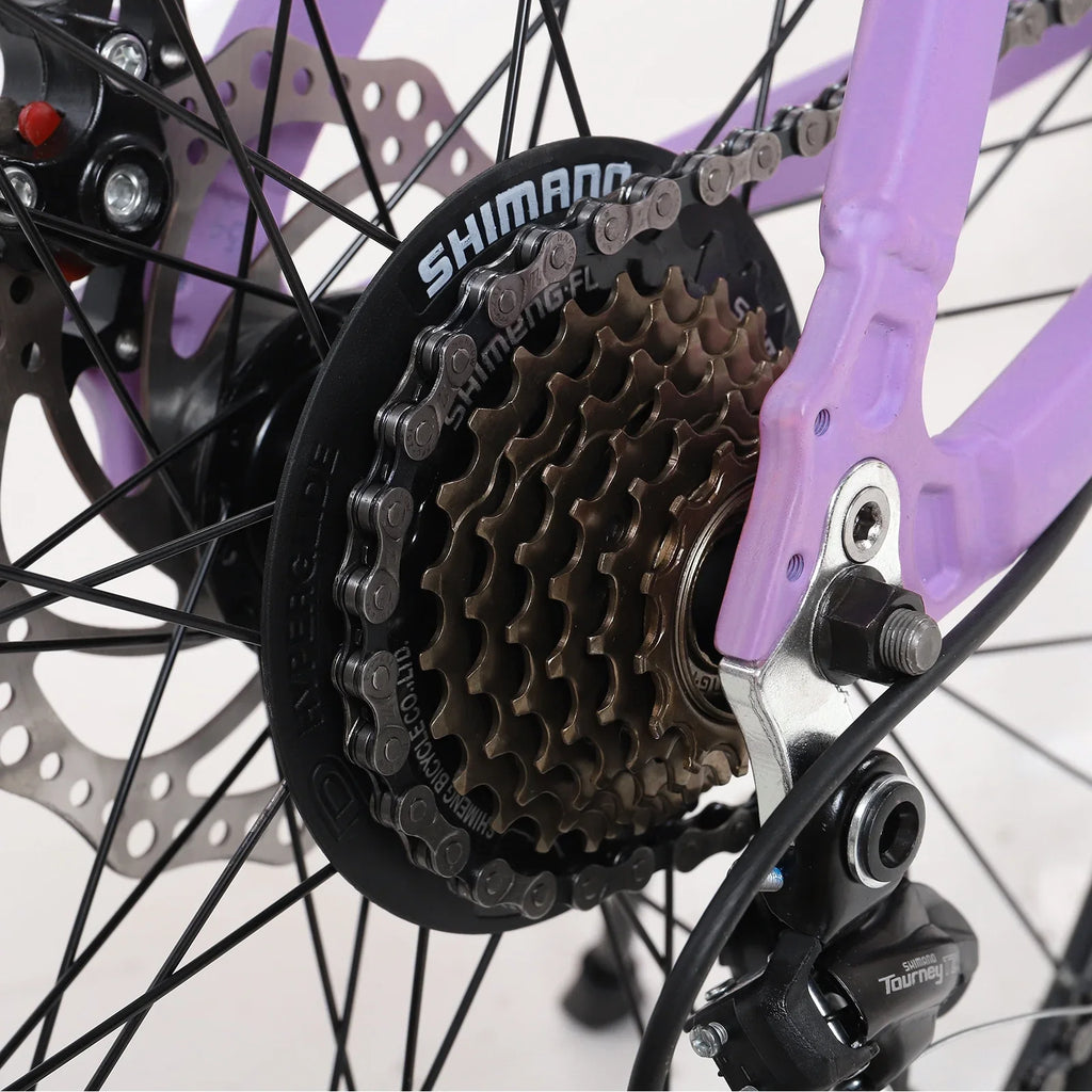 and Brakes, Men's Women's Bike, Disc Mountain, Bike, 26-inch Magnesium Dual Mountain City Frame，Purple HALJEN Alloy 21-speed