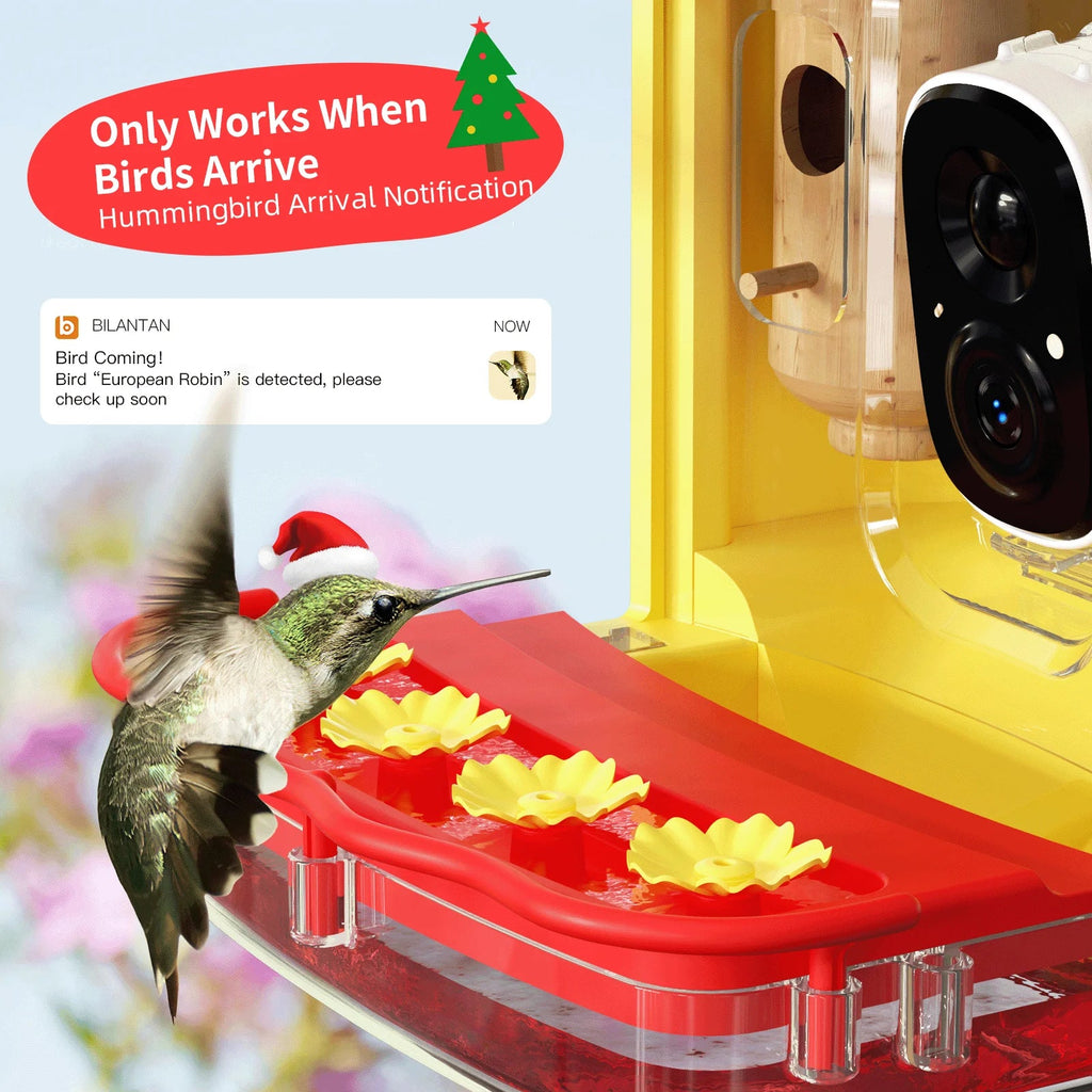 House, Feeder 350+ Feeder Hummingbird Identify Outdoor Gift Smart Attract Bird Up-Close,AI Hummingbird Camera Hummingbird Unique More Camera 2 Capture,Birdwatching Wooden for Species, Auto-Video with